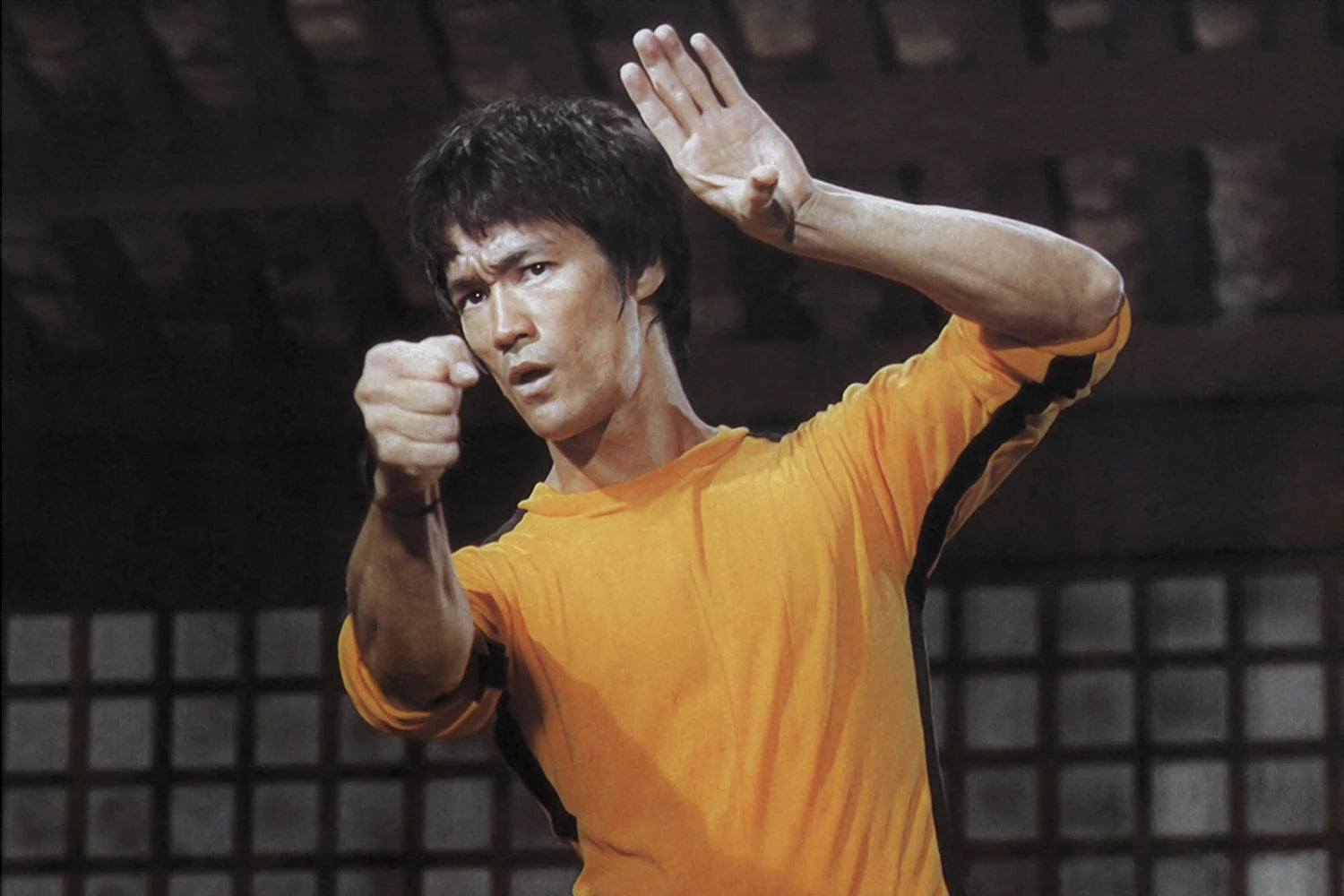 Charger la vidéo : DVDvision Bruce Lee Trailer